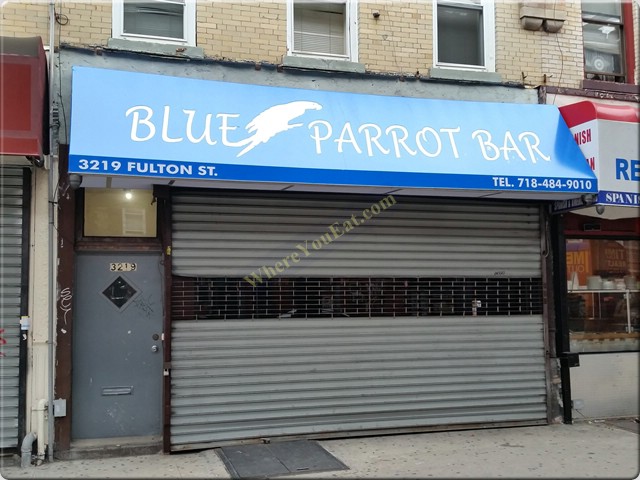 Blue Parrot Bar